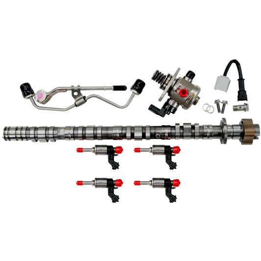 Hondata FK8 FL5 DE5 Fuel System Plus