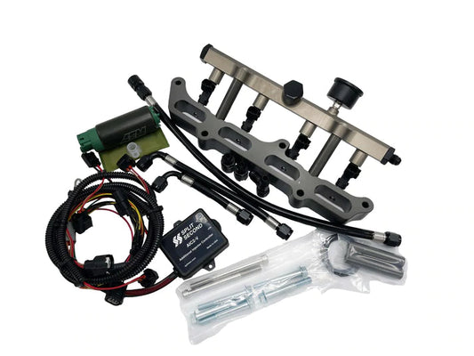L15B Port Injection System (Skunk 2 Version)