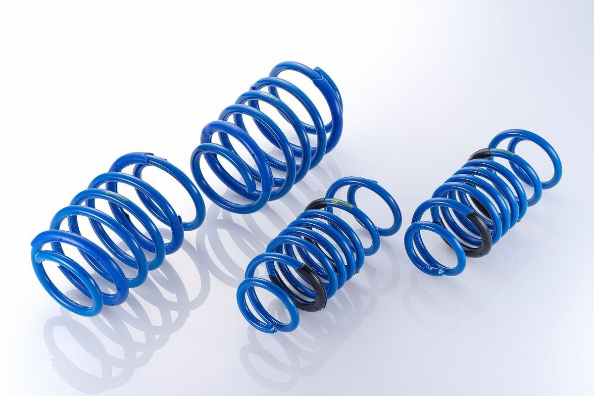 Low Spring Type R Spoon Progressive Lowering Springs 2022+ Honda Civic Type R – Group N ...